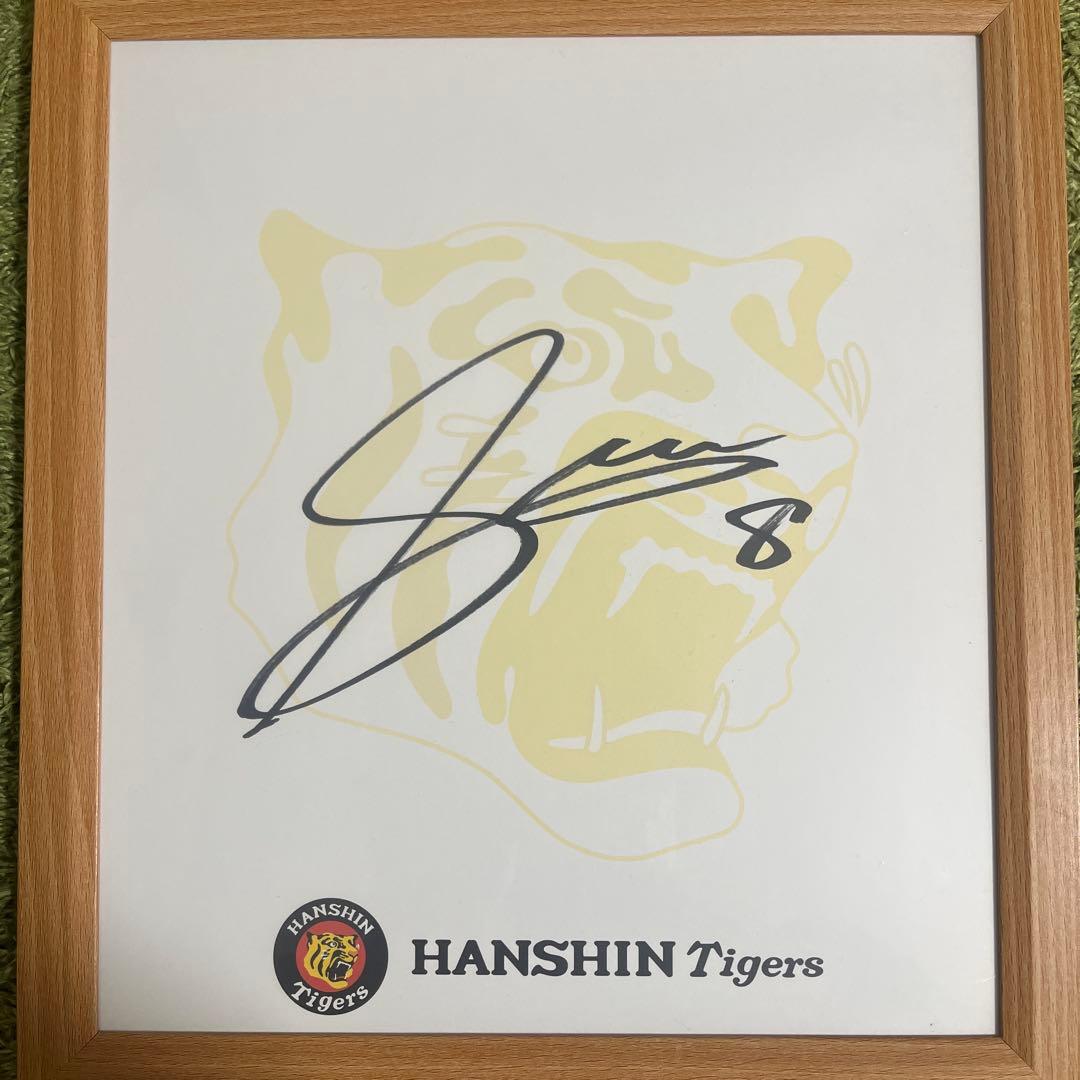 阪神タイガース 佐藤輝明 直筆サイン色紙